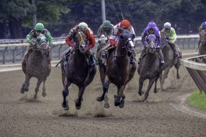 Racing horses