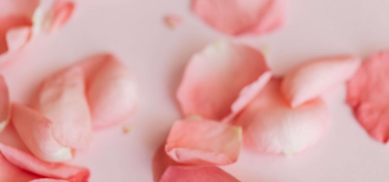 5 AI Articles We Almost Forgot We Love Photo by Karolina Grabowska on Pexels