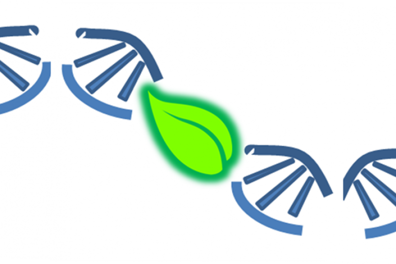ECO-CODING: A Centre for DNA Meta-barcoding Ecology